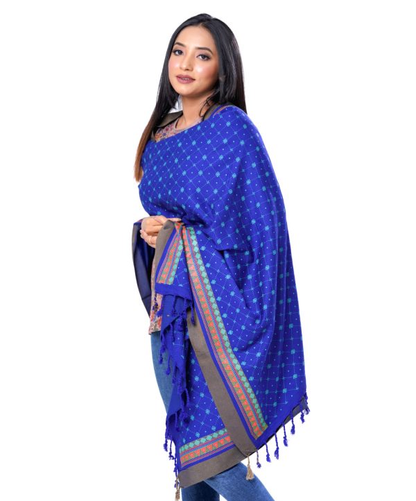 Blue all-over printed Shawl in Cotton viscose fabric. Features fringe trim on both sides.